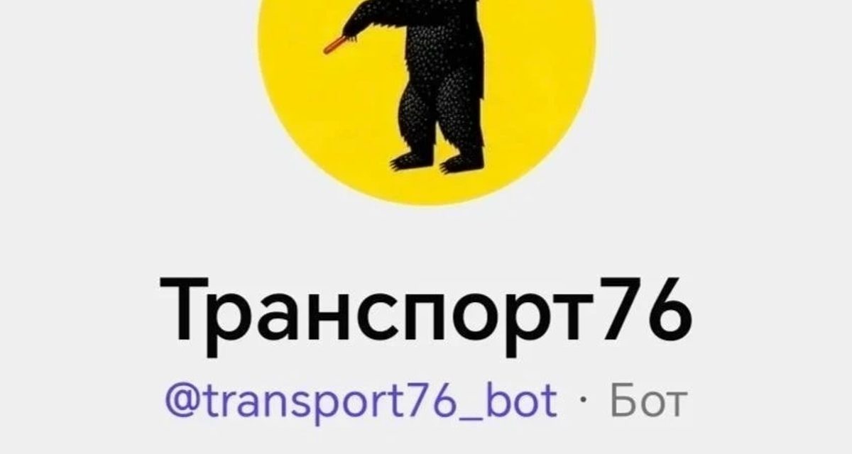 Банковскую карту можно вывести из стоп-листа через новый чат-бот «Транспорт76»