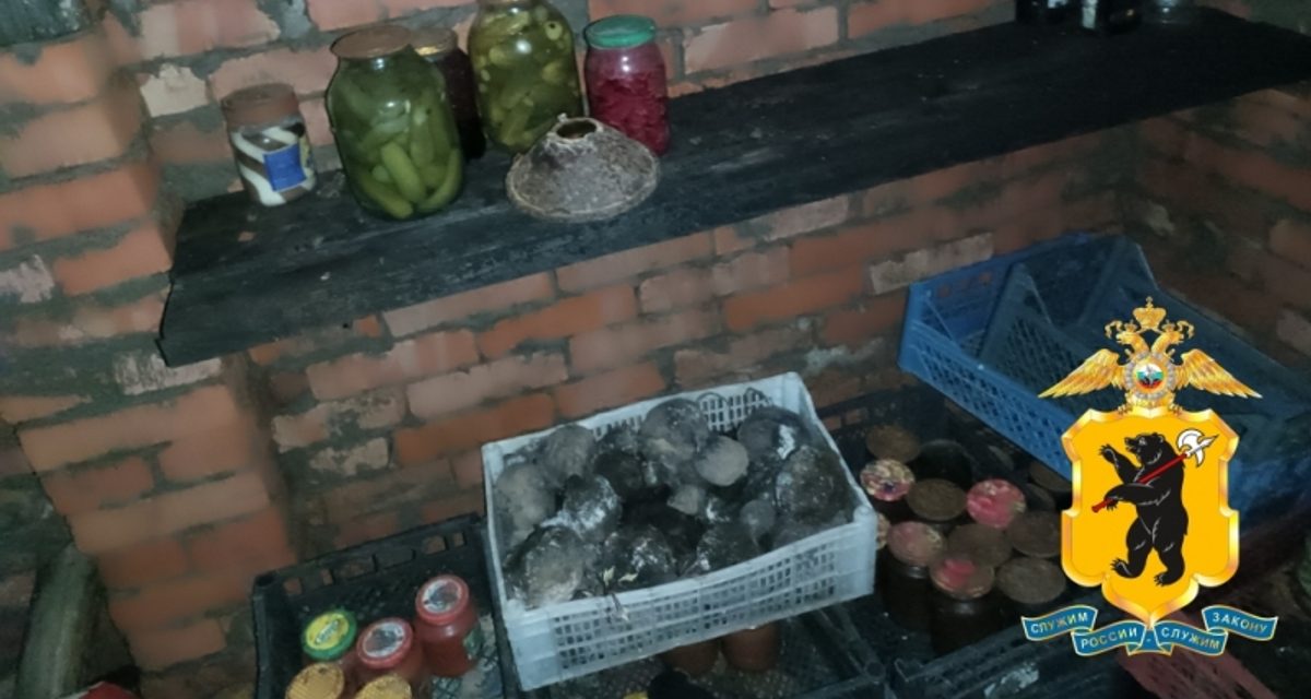 Житель деревни пробрался через проломленную крышу кессона знакомого и вынес алкоголь с заготовками